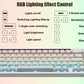 Reccazr  R66 65% Voice-Activated Hot Swap RGB Triple Mode Mechanical Keyboard