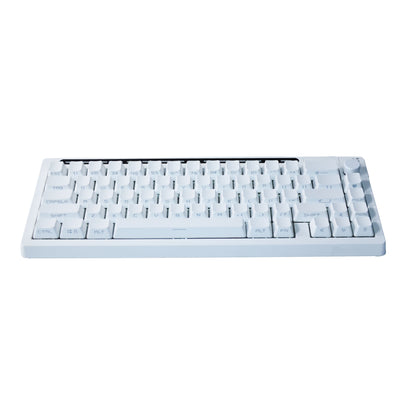Reccazr  R66 65% Voice-Activated Hot Swap RGB Triple Mode Mechanical Keyboard